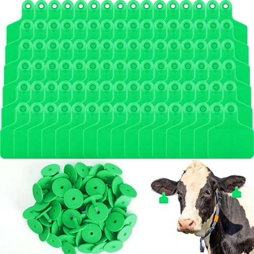 Lothee 200 Pcs Blank Cattle Ear Tags Large Plastic Animal Cow Tags, Green - color: Green