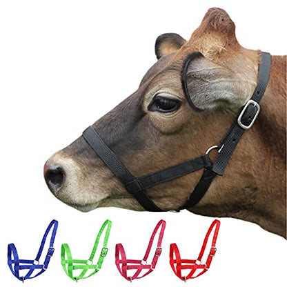 Derby Originals Adjustable Nylon Livestock Cattle Halters - color: Black, size: Small (250-500lbs)