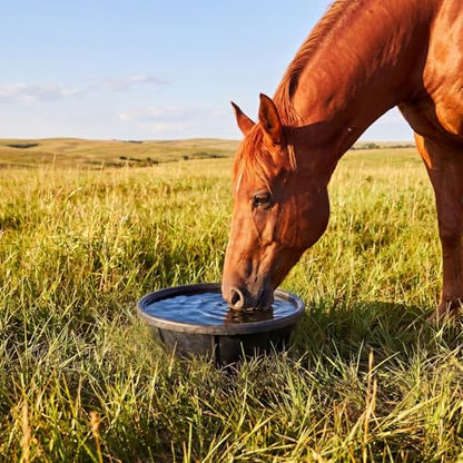 Sadnyy 4 Pcs Rubber Feed Pan 8 Quart/2 Gallon and 12 Quart/3 Gallon Utility Horse Feed Bucket Chicken Dust Bath Tub Livestock Water Trough Bowl for Chickens Ducks Goats Dogs Pigs Farm Small Animal - size: 8 Quart/2 Gallon and 12 Quart/3 Gallon
