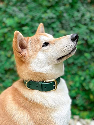 Tuff Pupper Heavy Duty Waterproof Dog Collar for Small, Medium & Large Dogs - color: Forest Green
