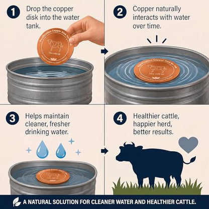 4 Pack 4 Inch Copper Disk for Cattle Water Trough, 99.9% Pure Copper Disc, 0.6mm Heavy Duty Water Purifier for Stock Tank, Horse Bowl, Poultry Fountain, Automatic Waterer Maintenance Kit
