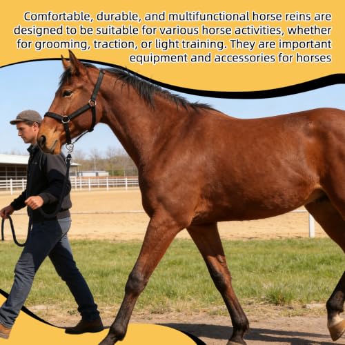 Adjustable Nylon Horse Halter & Matching Lead Set for Horses - color: BLACK