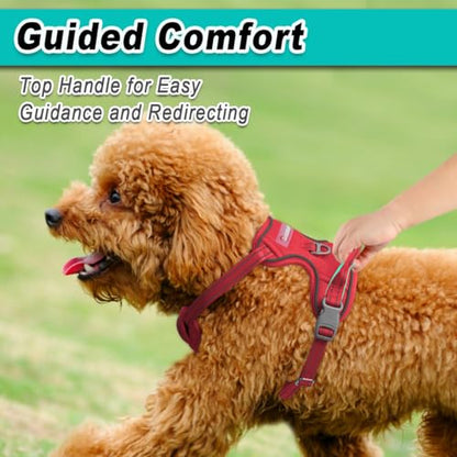 BARKBAY Dog Harness for Small Sized Dog No Pull Mesh 2 Clips Dog Vest - color: Red-Mesh, size: X-Small