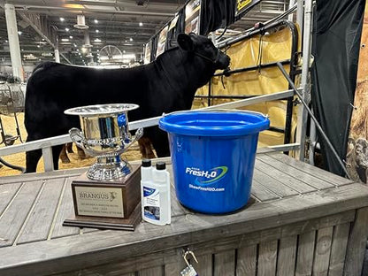 Show FresH2O Livestock Water Treatment Bottle - Eliminates Chlorine and Removes Related Odor in Drinking Water, Treats Up to 300 Gallons of Chlorinated H2O, Made in the USA (32oz) - size: 32oz
