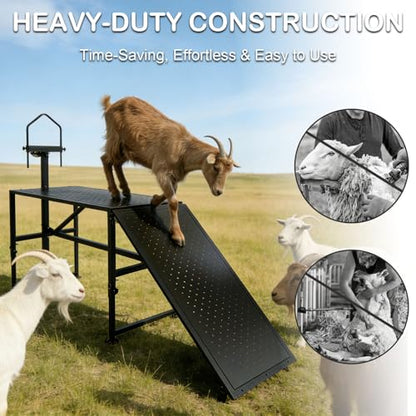 600 Lbs Adjustable Goat Milking & Trimming Stand with Feed Bin Ramp, Heavy Duty Steel Construction Ideal for Sheep & Goat Grooming, Hoof Trimming, and Milking, Livestock Care Equipment (Black)