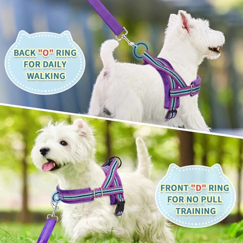 SlowTon No Pull Small Dog Harness and Leash Set with Front Clip | Soft Padded, Neck & Chest Adjustable, Lightweight, Anti-Twist, Puppy Vest Harness Pet Lead Combo for Small Medium Dog, PU XS - color: Purple, size: X-Small