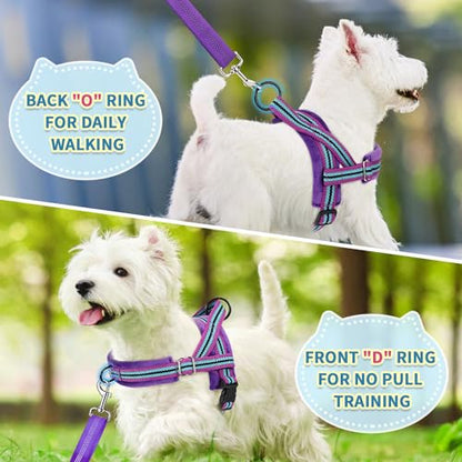 SlowTon No Pull Small Dog Harness and Leash Set with Front Clip | Soft Padded, Neck & Chest Adjustable, Lightweight, Anti-Twist, Puppy Vest Harness Pet Lead Combo for Small Medium Dog, PU XS - color: Purple, size: X-Small