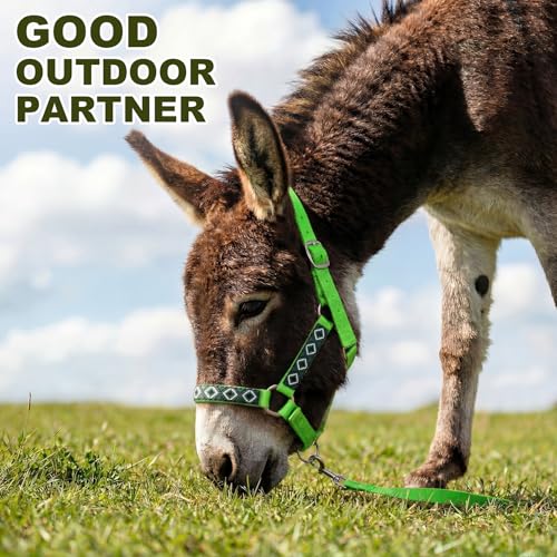 1 Set Mini Donkey Halter with Lead Rope Adjust, Bright Green - color: Bright Green