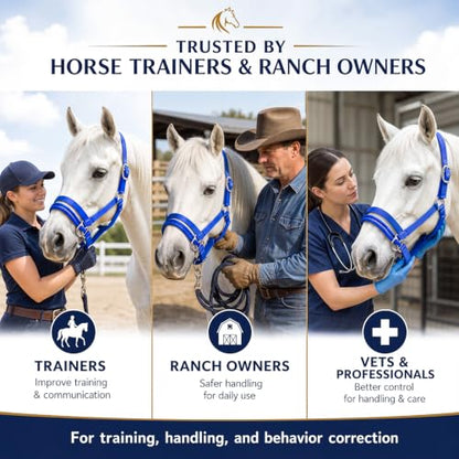 Abbylike Dually Style Horse Training Halter, Blue Bitless Pony Control Headcollar, Humane Pony Behavior Correction Tool for Leading, Training, Adjustable Equine Equipment - size: L,Warmblood