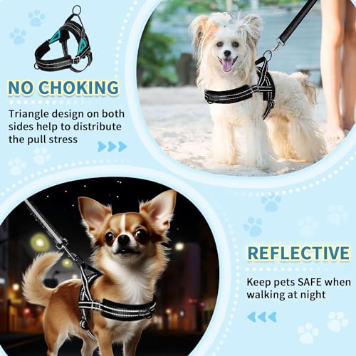 SlowTon No Pull Small Dog Harness and Leash Set with Front Clip | Soft Padded, Neck & Chest Adjustable, Lightweight, Anti-Twist, Puppy Vest Harness Pet Lead Combo for Small Medium Dog, B, XS - color: Black, size: X-Small