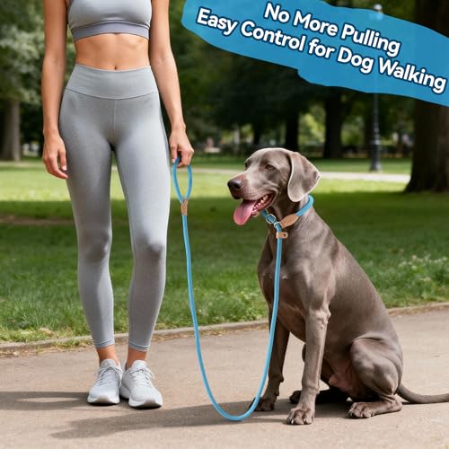 Mile High Life Heavy Duty Slip Lead No Pull Leash 6/5/4FT for Large Dogs - color: Blue, size: 4 Feet