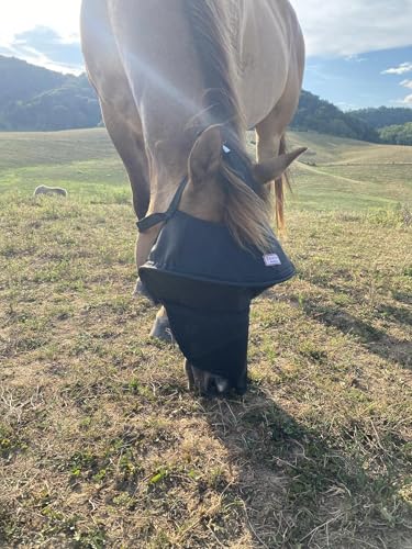 Solar Vizor Horse Fly Mask with Nose (Size X-Large), Innovative Design - 100% UV Eye Protection for Horses with Uveitis,Photosensitivity,Ulcer, Head Shaking, Protects from Flies, Insects,Dust, Debris. - size: X-LARGE