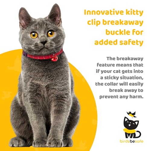 Birdsbesafe Reflective Breakaway Cat Collar with Bell, Safe Design, Red - color: Red