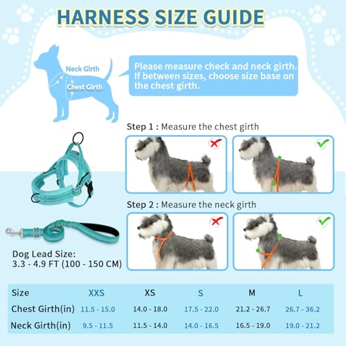SlowTon No Pull Small Dog Harness and Leash Set with Front Clip | Soft Padded, Neck & Chest Adjustable, Lightweight, Anti-Twist, Puppy Vest Harness Pet Lead Combo for Small Medium Dog, TL XS - color: Teal, size: X-Small