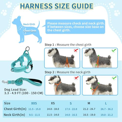 SlowTon No Pull Small Dog Harness and Leash Set with Front Clip | Soft Padded, Neck & Chest Adjustable, Lightweight, Anti-Twist, Puppy Vest Harness Pet Lead Combo for Small Medium Dog, TL XS - color: Teal, size: X-Small