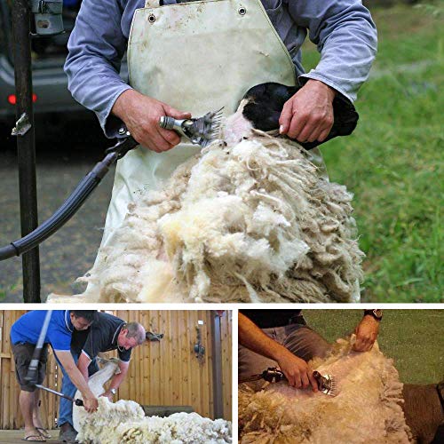 Sheep Shears Blades 9-Tooth Wool Shearing Comb and Cutter Blade Set for Alpaca Goats Wool Cutter Grooming Trimmer(9T Scimitar+Front Blade) - size: 9T scimitar+front blade