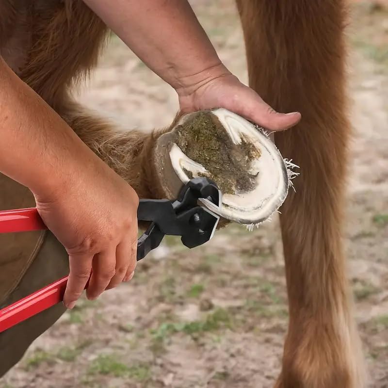 10 inch Farrier Tool Kits, 8 Piece, Horse Goat Hoof Trimmers