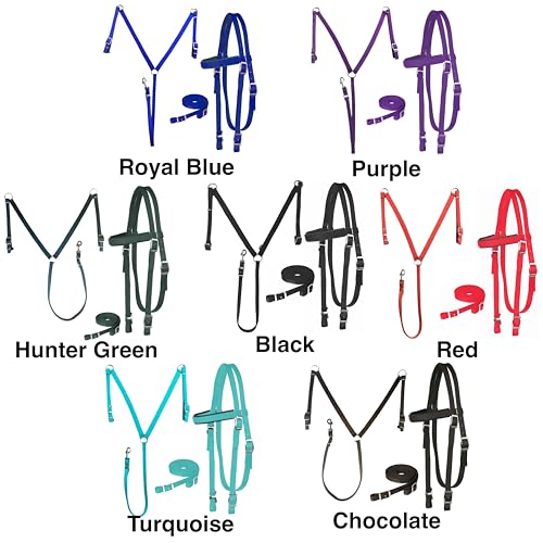 Majestic Ally Nylon Padded Equestrian Browband Headstall, Reins & BreastCollar Set for Horse- Full - color: Turquoise