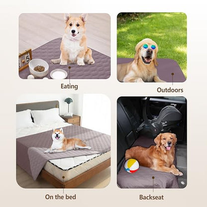 gogobunny 100% Double Sided Waterproof Dog Blanket Soft Pet Bed Cover Reversible Protect Furniture Couch Sofa Car for Puppy Large Dog Cat (Dark Sea Fog/Light Sea Fog, 30x30 Inch (Pack of 1)) - color: Dark Sea Fog/Light Sea Fog, size: 30x30 Inch (Pack of 1