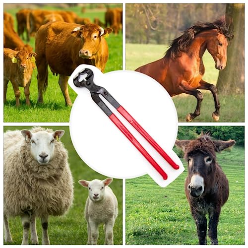 Hoypeyfiy Horse Hoof Nipper, 16 Inches Hoof Trimming Nipper,Horse Nail Clippers for Horses,Sheep,Goats,Alpacas,Veterinarians,Farm Supply