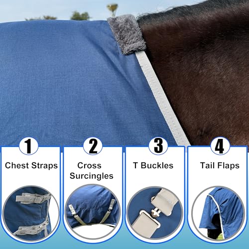 Horse Turnout Blanket, Medium Weight Winter Blanket for Horses, 220g Filling,1200 Denier Waterproof &Breathable/Detachable Neck Cover (Navy Blue, US81IN(EU155CM)) - size: US81IN(EU155CM)
