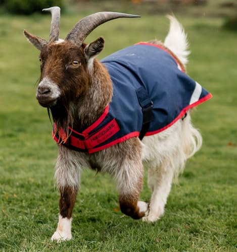 Horseware® Goat Coat 0g - Navy/Red, S - size: S