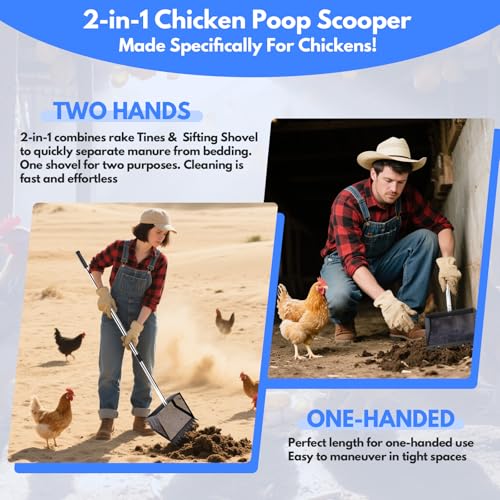 VEEMI Chicken Poop Scooper Rake 2-in-1,304 Stainless Steel Shovel Head, Chicken Litter Scoop with Handle for Chicken Coop for Sand, Pet Waste Cleaning, Litter Sifting Shovel (35 to 65") - color: Black