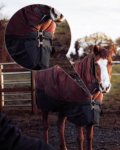 9 Sets Horse Blanket Surcingle Buckle Replacement Kits, Heavy-Duty Hardware Buckles with Straps for Repair and Restoration of Horse Blankets
