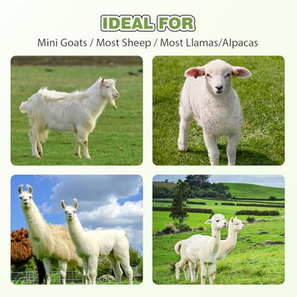φ25mm Double Head Teat Cup for Goat, Milking Machine Accessory - style: Cups for goat
