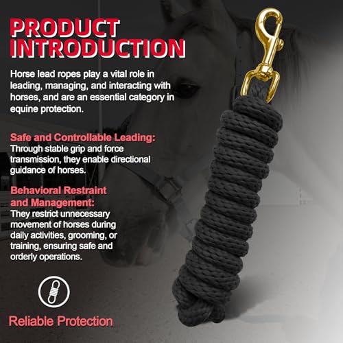 5/8" x 8' Nylon Horse Lead Rope with Cast Iron Hardware (Black) - color: Black