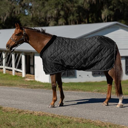 Equinavia Luksus Premium Stable Blanket for Horses | No Fill Lightweight Sheet with Fleece Collar - Black - 72 in - size: 72 in