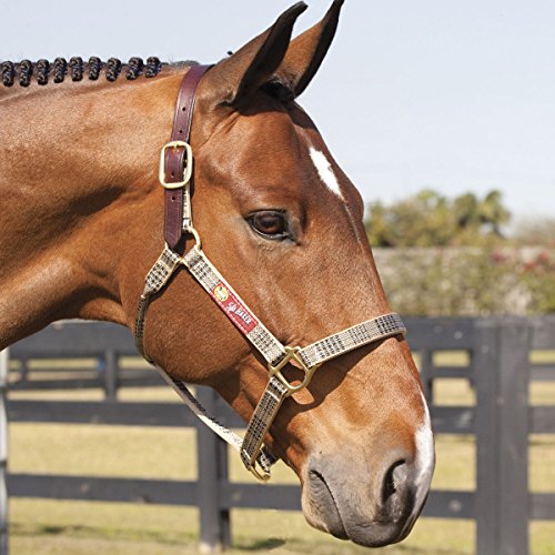 Baker Halter w/Leather Crown