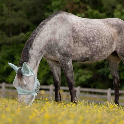 Equinavia Algard Horse Fly Mask with Nose Cover, Soft Mesh Full Face Design - color: Misty Jade, size: Cob