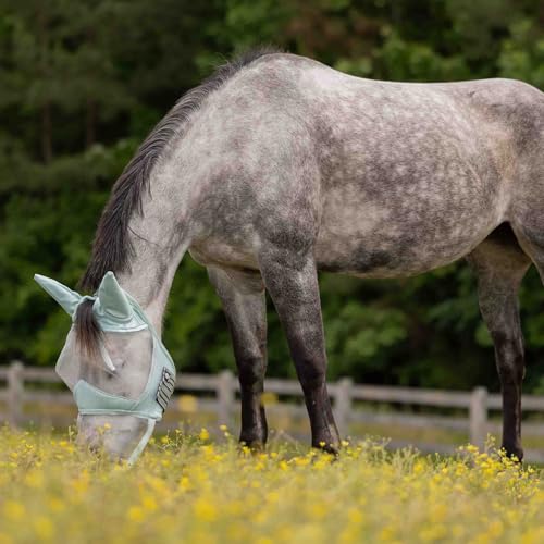 Equinavia Algard Horse Fly Mask with Nose Cover, Soft Mesh Full Face Design - color: Misty Jade, size: Pony