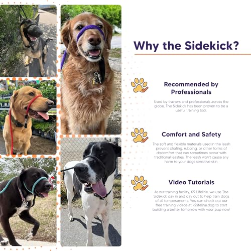 The Sidekick, Reg 3/8" Colors: Purple - color: Purple, size: Regular (3/8")
