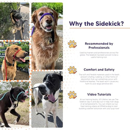 The Sidekick, Reg 3/8" Colors: Turquoise - color: Turquoise, size: Regular (3/8")