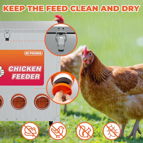 6 Port Automatic Chicken Feeder, No Waste Poultry Feeder with Lid - size: 6 Ports (85-120 LBS)