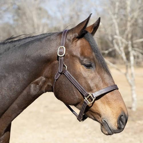 Jeffers Frankfort Triple Stitched Soft Leather Turnout Halter with Throat Snap for Horses - Adjustable Double Buckle Crown, Breakaway Ready Headcollar - size: Oversize