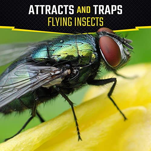 Black Flag Fly Stick, Trap Houseflies and Flying Insects, Pack of 6 - size: 6 Pack, style: Fly Stick
