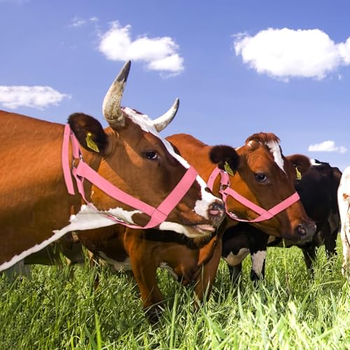M METERXITY 2-Pack Adjustable Cattle Cow Calf Halter, 15.74"-19.68" Nylon Livestock Cow Halter for Miniature Horse/Donkey/Goat/Cattle [Pink]