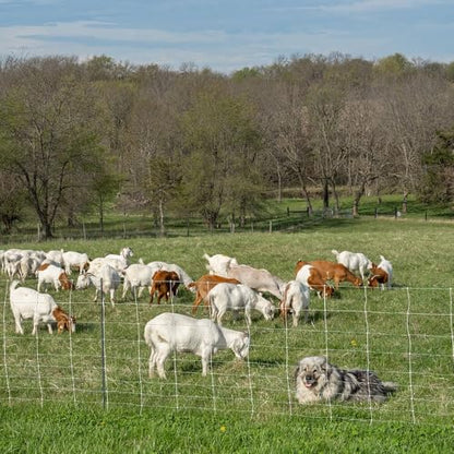 Premier 1 ElectroStop® Pro, PrimaPosts™ – Sheep & Goats – 42"H x 164'L | Green/white. Rigid PrimaPosts™ & braided conductors. For sheep & goats. Keeps out coyotes & dogs. Energizer sold separately. - color: Green/White