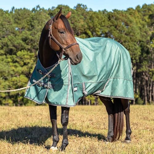 Poplar Head Uniquely English 1200 Denier Turnout Blanket, 240 Gram, Spruce Stirrup Irons, 72" - size: 72 in