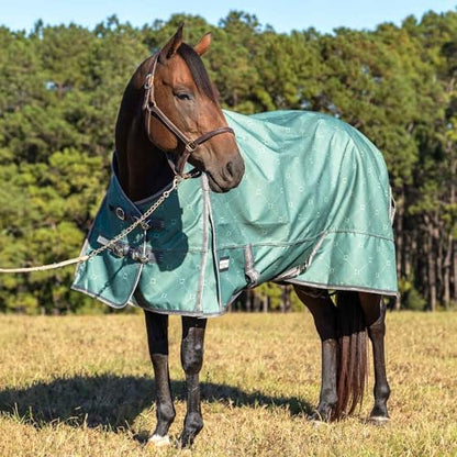 Poplar Head Uniquely English 1200 Denier Turnout Blanket, 240 Gram, Spruce Stirrup Irons, 72" - size: 72 in