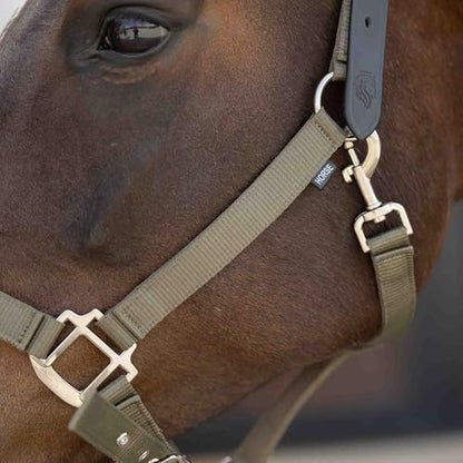 Equinavia Loki Nylon Horse Halter: Breakaway Leather Crown, Adjustable Fit - color: Light Olive, size: Cob