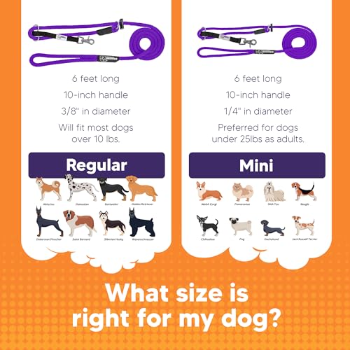 The Sidekick, Reg 3/8" Colors: Purple - color: Purple, size: Regular (3/8")