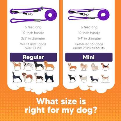 The Sidekick, Reg 3/8" Colors: Purple - color: Purple, size: Regular (3/8")