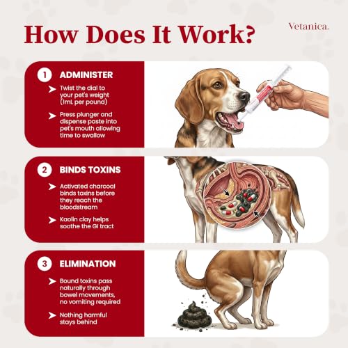 PawMergency – Activated Charcoal First Aid Kit Emergency Rescue 3 Pack for Dogs, Cats, Puppy & Pet Poison Kit, Camping Survival Remedy Essential, Oral Anti Diarrhea Digestive Absorb Toxins - size: 60 - 90lbs (3 Tubes)