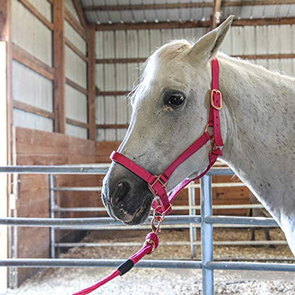 Majestic Ally Halter with Lead Rope for Horses–Adjustable Chin and Crown–Rolled Throat Latch with Replaceable Snap–Padded Noseband–Heavy Duty Rose Gold Finish Hardware - color: Black