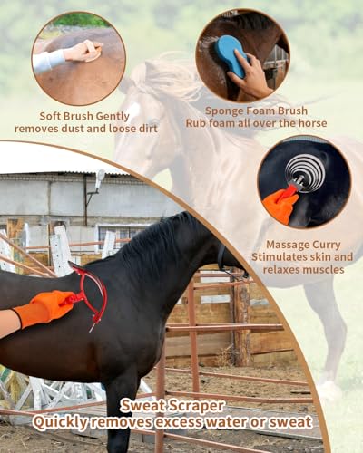 Horse Grooming Kit 13 Piece, Complete Horse Brushes & Grooming Supplies Set with Organizer Bag, Curry Comb, Hoof Brush, Bath Brushes & Accessories for Horse Care