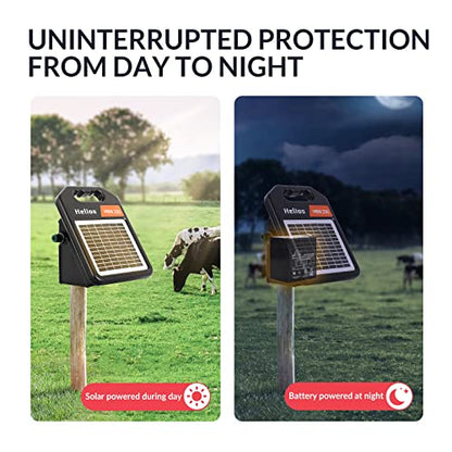 Andmon MINI250 Solar Electric Fence Charger with Day or Night Mode, 0.25Joule Portable Solar Fence Charger - size: MINI250-Rear switch